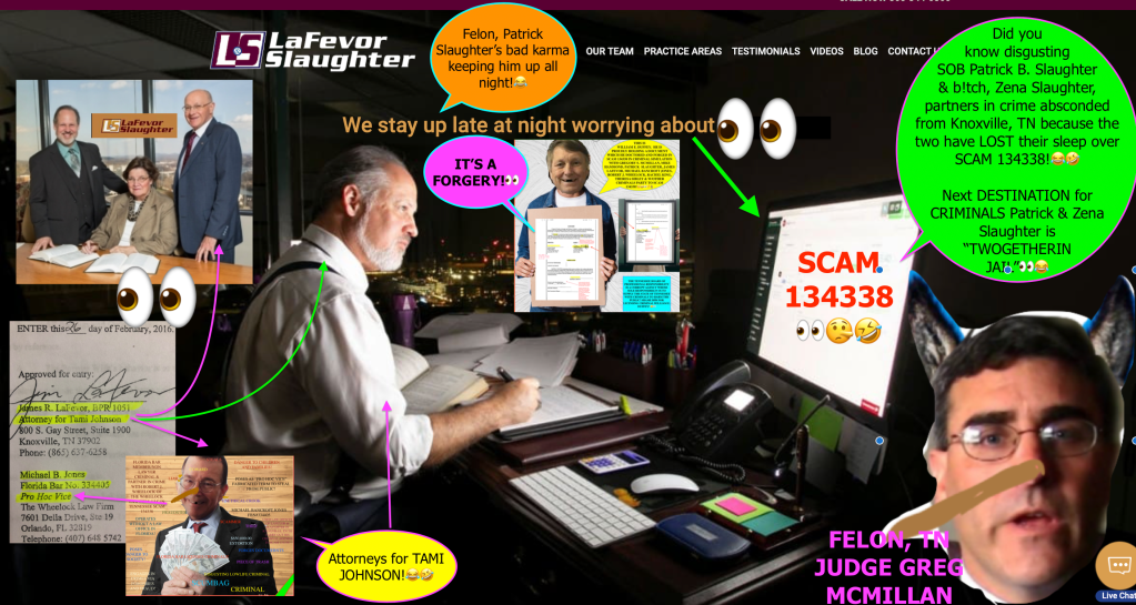 KNOX COUNTY CLERK OF COURT MIKE HAMMON, DIVORCE LAWYERS, KNOXVILLE, TENNESSEE IMMIGRATION LAWYERS, WORST LAWYERS IN TENNESSEE