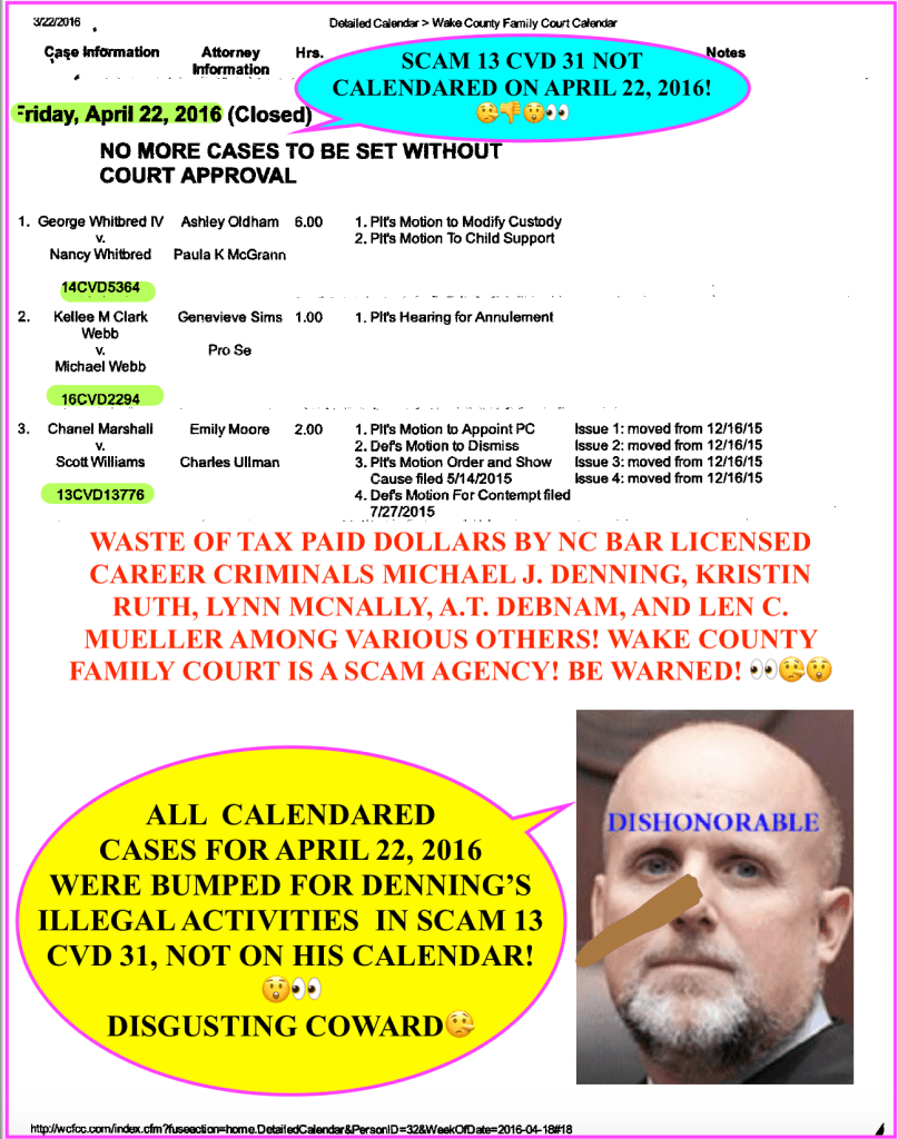 WAKE COUNTY FAMILY COURT - SMITH DEBNAM, THARRINGTON SMITH, ALICE STUBBS, Kristin Ruth, ALICIA JURNEY, LYNN MCNALLY, LEN C. MUELLER, A.T. DEBNAM, W. THURSTON DEBNAM