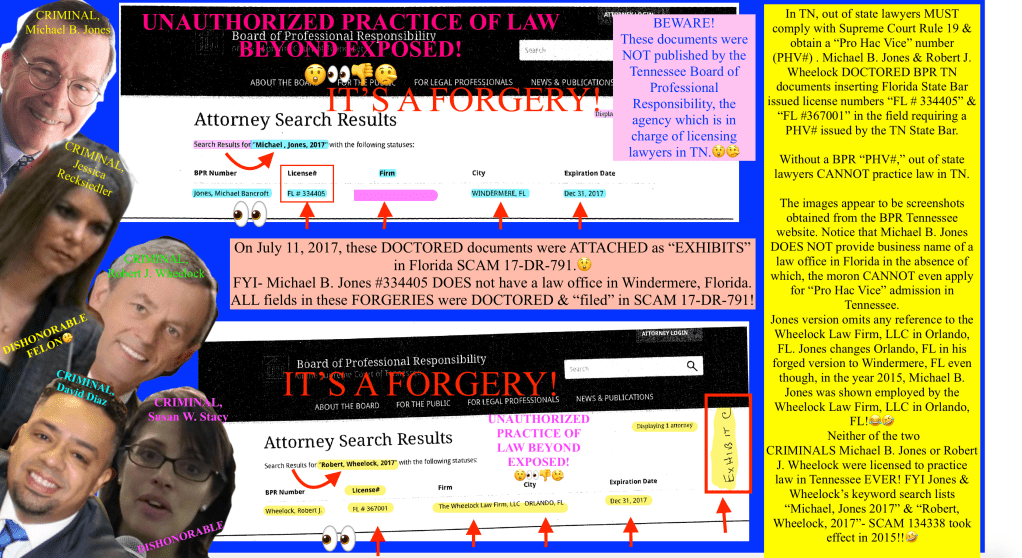 18th judicial circuit court, Seminole County, Florida Chief judge, Jessica Recksiedler and Judge Susan Stacy involved in UNAUTHORIZED PRACTICE OF LAW in the State of Tennessee by virtue of AIDING and ABETTING Florida Bar MEMBERS illegally operate out of Tennessee!